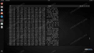 Image result for Linux Hex Editor Structures