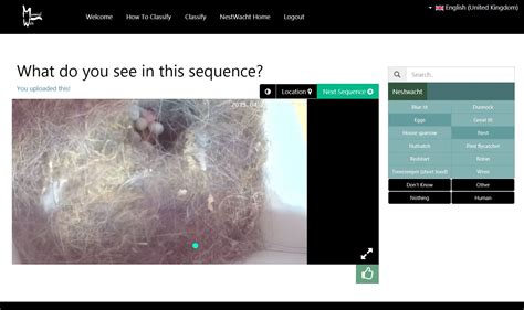 Image result for Classify