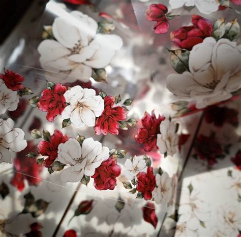 EM2 壹洱文創 yier【燃夏】マスキングテープ / PETテープ 55mm×6m | cherish365_zakka