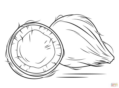 Coconut - Clip Art Library