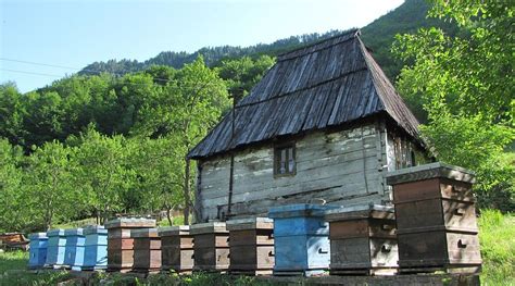 TARA KULA RAFT KAMP (Durmitor National Park) - Campground Reviews ...