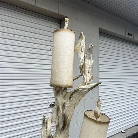 Pair of Mid-Century Modern Sculptural Driftwood Floor Lamps For Sale at ...