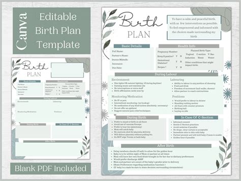 Editable Birth Plan Template | Printable AT A GLANCE