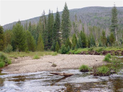 Colorado River Bank Near Timber Creek Campground – BizWest