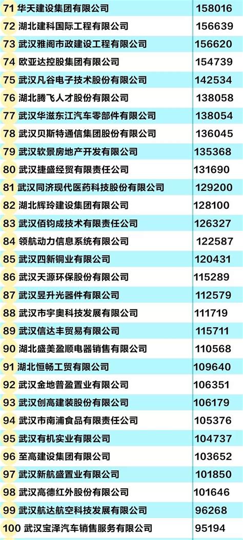 武汉民营企业100强榜单来了 快来找找有没有你的东家_武汉_新闻中心_长江网_cjn.cn
