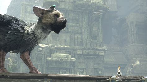 The Last Guardian Wallpaper