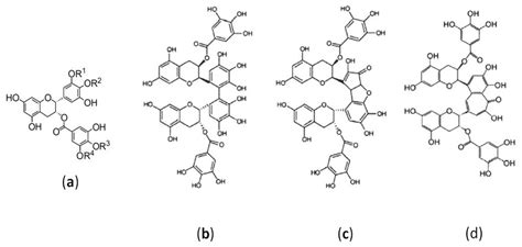 A Review of the Antiviral Role of Green Tea Catechins