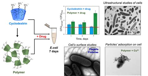 The New Strategy for Studying Drug-Delivery Systems with Prolonged ...