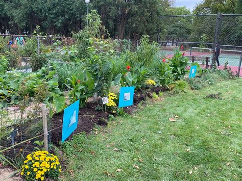 Proksa Children’s Garden Fall Prep, Proksa Park, Berwyn, 3 November ...