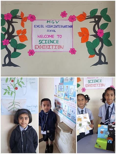 Excel High International School