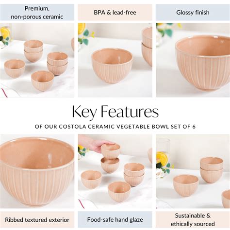 Costola Ceramic Vegetable Bowl Set Of 6 250ml Online - Premium Snack ...