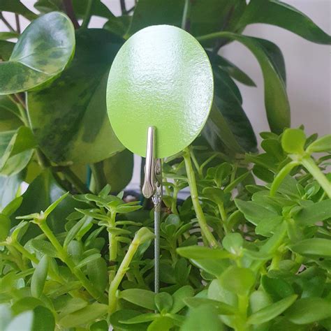 Image result for Scrap Trap Clips