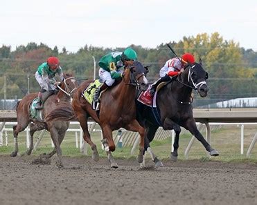 Shisospicy on Standby, Bentornato on Track for Dubai - BloodHorse