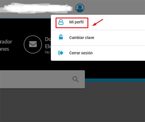 Tutorial Clave AFIP 的图像结果