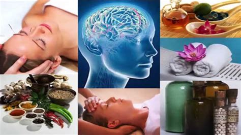 Image result for holistic medicine
