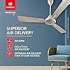 Buy Havells 1200mm Ambrose ES Ceiling Fan|Premium Finish, Decorative ...
