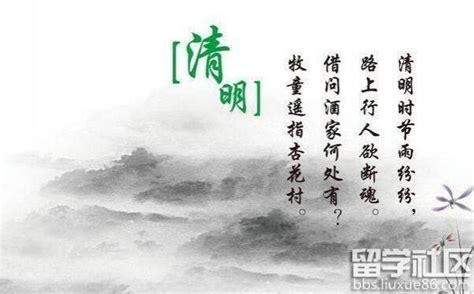 清明•诗节丨微雨落清明，思念最绵长-河北频道-长城网