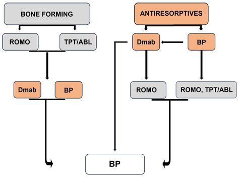 Bisphosphonates in the Management of Patients with Postmenopausal ...