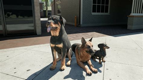 Image result for Ranch Simulator Multiplayer