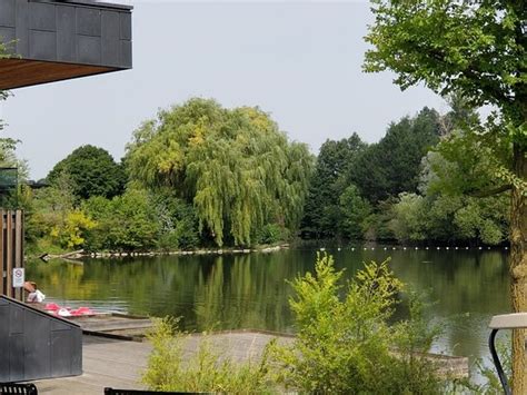 Donald M. Gordon Chinguacousy Park (Brampton) - 2021 What to Know ...