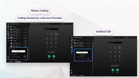 Image result for WebEx Call Screen