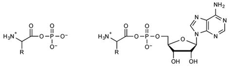 How Prebiotic Chemistry and Early Life Chose Phosphate