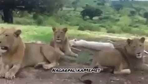 Astronomia Memes 2020 | #1 Funny Meme in 2020 - Memes