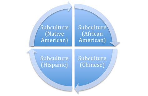 Image result for Multicultural Foundations