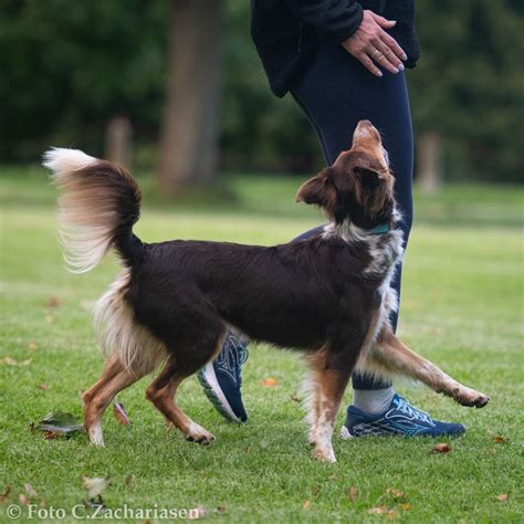Indtagelse af pladsposition (Fredag 19.00 - 21.00), DKK Vilhelmsborg ...