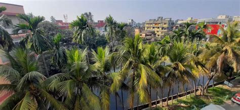 Delux Complex in Birati, Kolkata: Price, Brochure, Floor Plan, Reviews