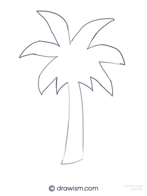 Image result for Simple Palm Tree Drawing