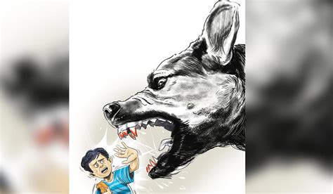 Stray mauls two-year-old girl's face in Belagavi, hospital turns her away