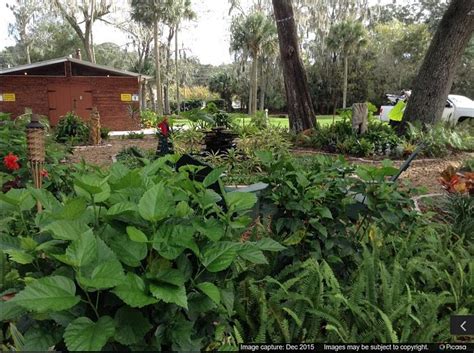 DAYTONA'S ENDLESS SUMMER CAMPGROUND (Port Orange) - Campground Reviews ...