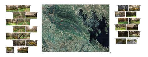 The forest maze | CEPT - Portfolio