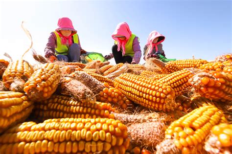 麦积植物园联合麦积派出所开展禁种铲毒宣传踏查活动 - 麦积植物园 - 甘肃省小陇山林业保护中心官方网站