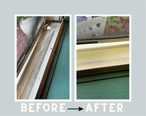 Wagner Power Steamer Giveaway 10 Yr Blogiversary Celebration!