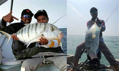 Image result for Gerong Java