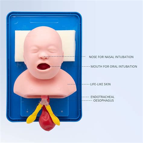 UNbit Tracheal Intubation Infant Model - Oral/Nasal India | Ubuy