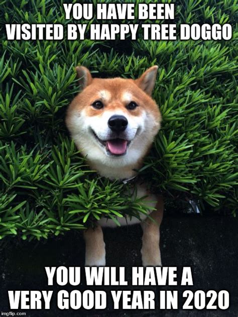 happy doggo - Imgflip