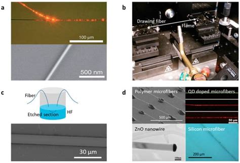 Optical Graphene Gas Sensors Based on Microfibers: A Review