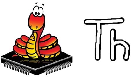 Image result for Difference Between Python and Micro