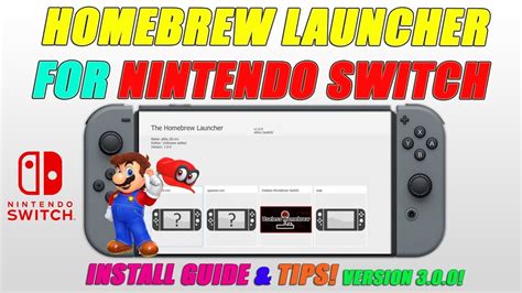 Image result for Switch Homebrew