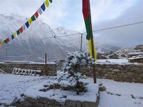 From Kathmandu: 5-Day Langtang Valley Trek - Klook India