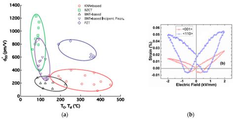 Characterization of Pb-Free KNbO3- and (Na,Bi)TiO3-Based Piezoelectric ...