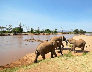 Beautiful 10 Days Nairobi to Sweetwaters Tented Camp Culture Trip ...