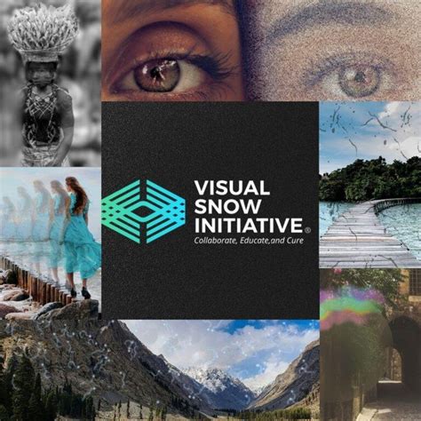 Image result for Visual Snow Simulator