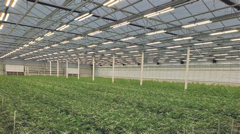 Image result for Fluence LED