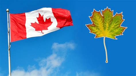 Unique Flags of the World 的图像结果