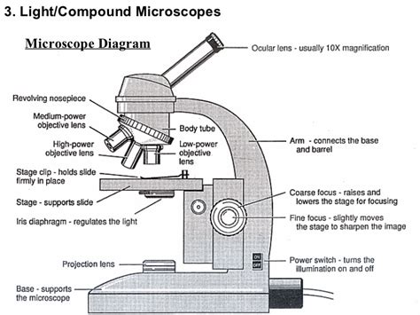 Compound Microscope Sketch at PaintingValley.com | Explore collection ...
