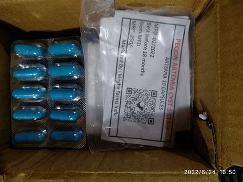 MAF Blue Ring Artemia Cyst 25 Capsules , Brine Shrimp Eggs Hatchable ...